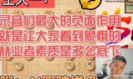 象棋录音陆续爆料视频播放,视频播放背后的精彩瞬间